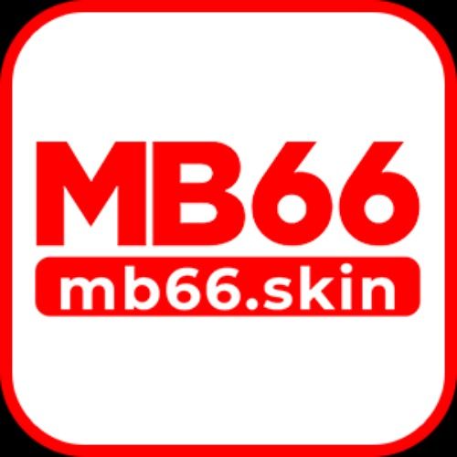 mb66skin