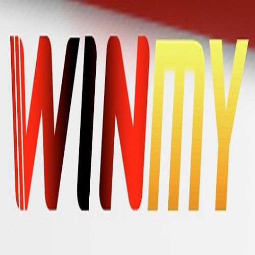 winmydigital