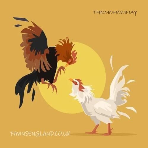 thomohomnayfawn