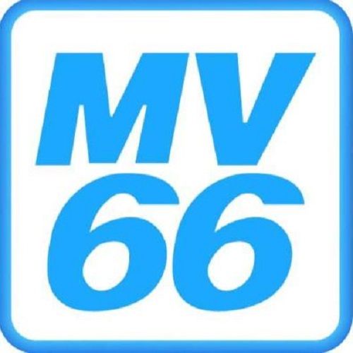 mv66trading