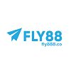 fly888co