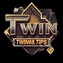 twin68tips