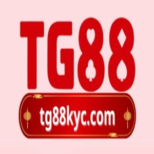 tg88kyccom