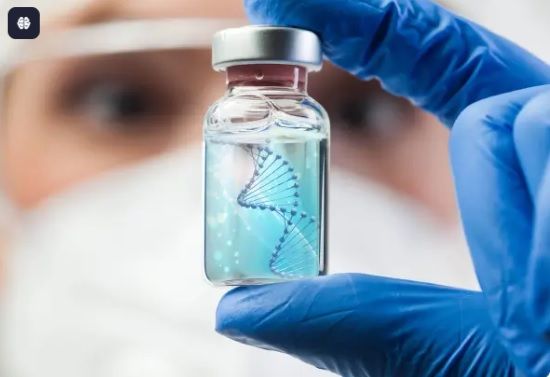 genesisregenerativeweb