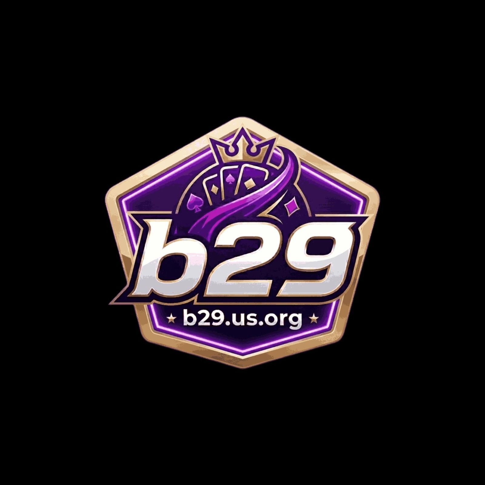 B29usorg